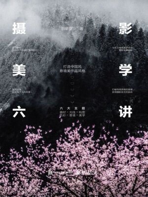 cover image of 摄影美学六讲